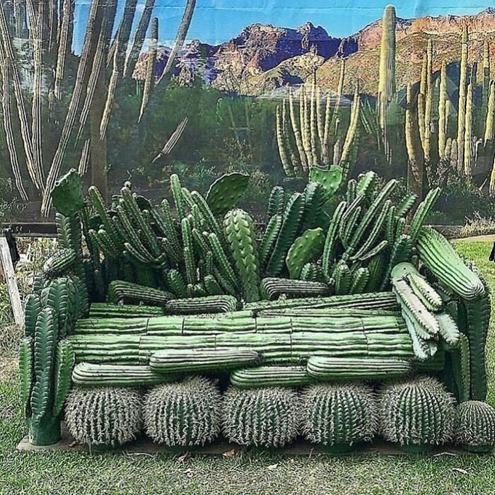 Have ‘Indoor Plants’ Gone Too Far?