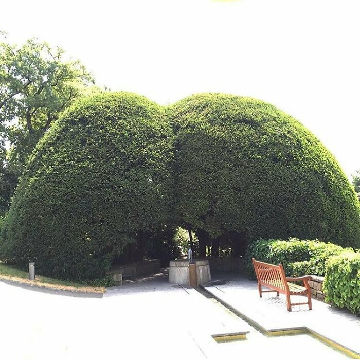 The Groundskeepers Secret Project 