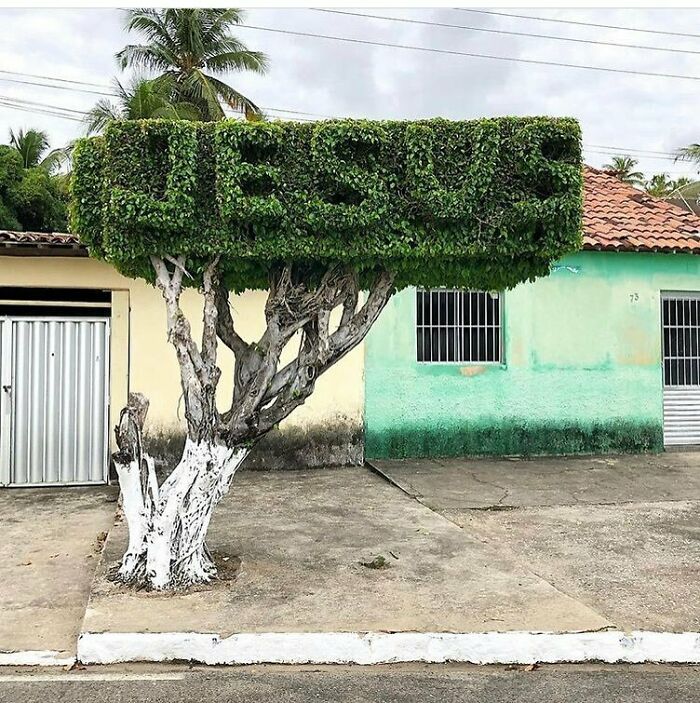 "For He Died To Save Our Topiaries"