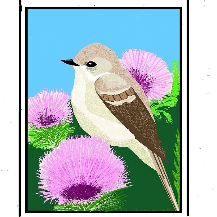 Grandmother-Amazing-Artwork-Microsoft-Paint-Concha-Garcia-Zaera