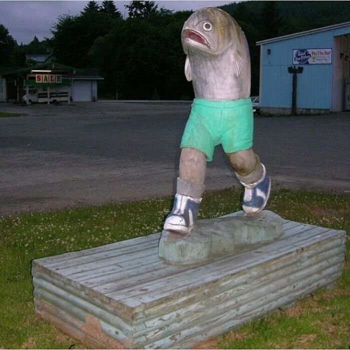 Survival Of The Fishest 