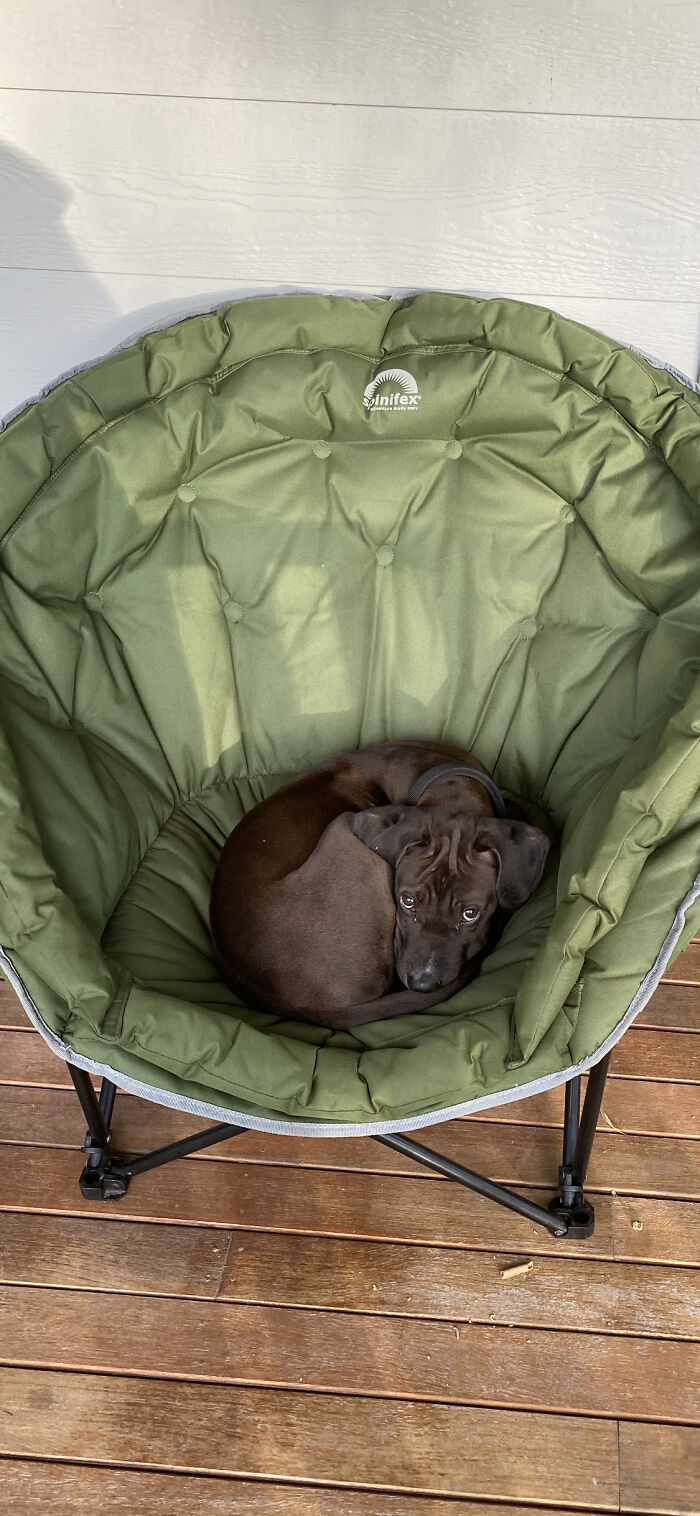 I Think I’ve Lost My Chair