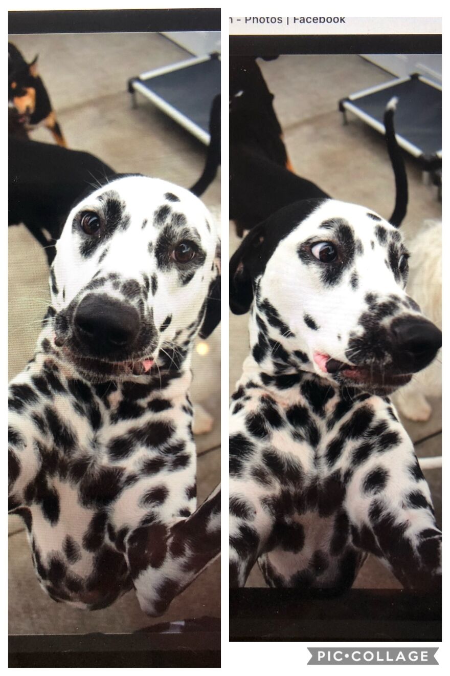 Selfie vs. What Your Friends Post (Scout, He’s Nearly 3)