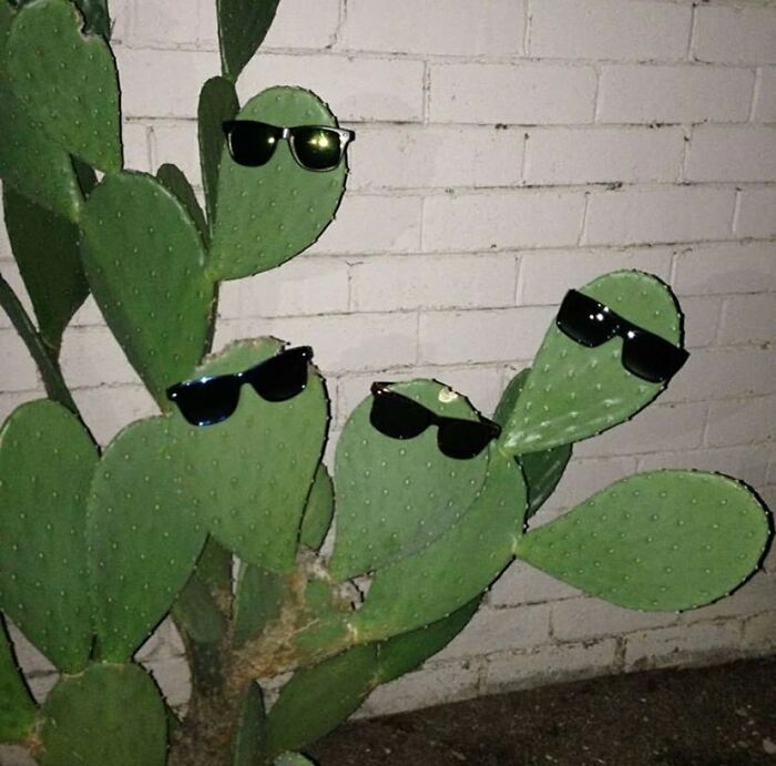 I’m Praying To A God I Don’t Believe In.