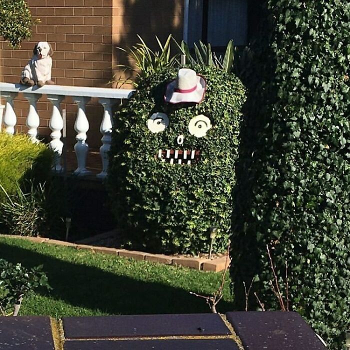 Once You Have Made Eye Contact... 