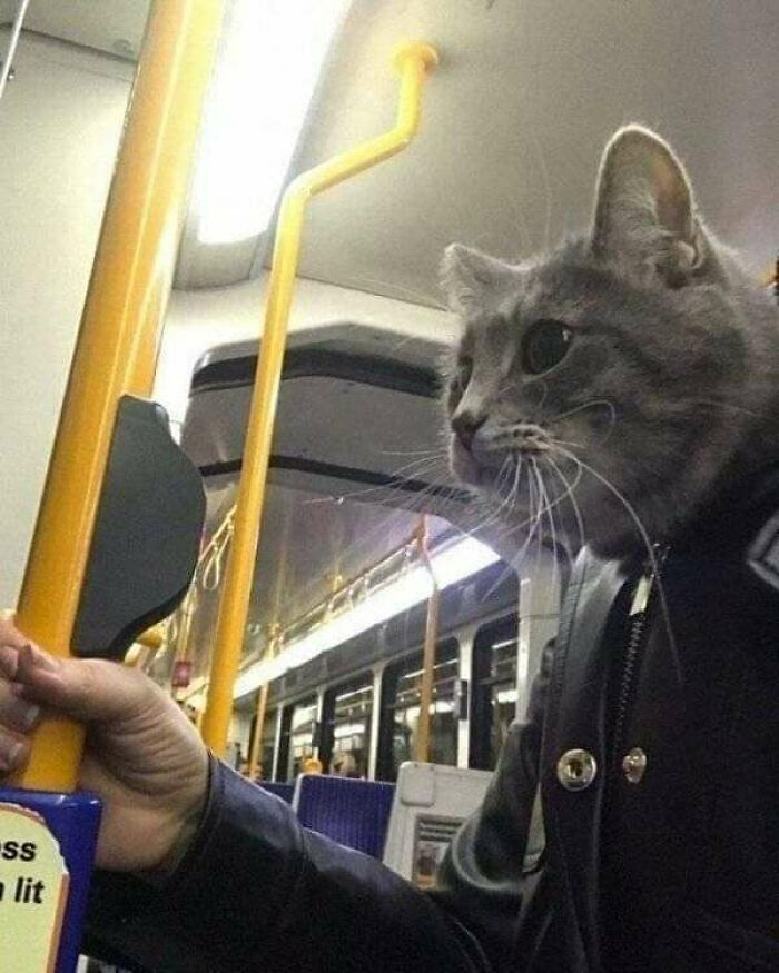 Late Night Train Ride