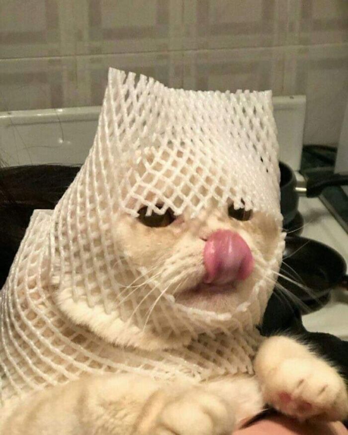 Medieval Warriors Be Like