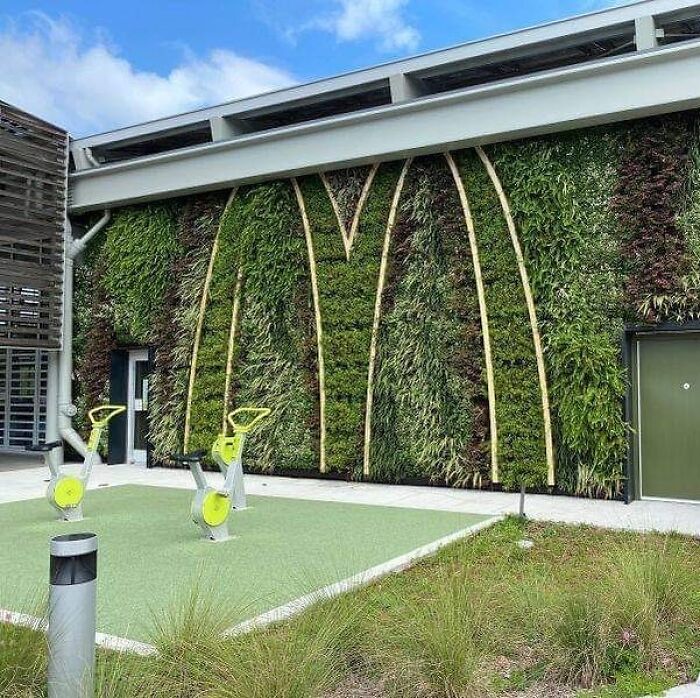 Peak Late Stage Capitalism 