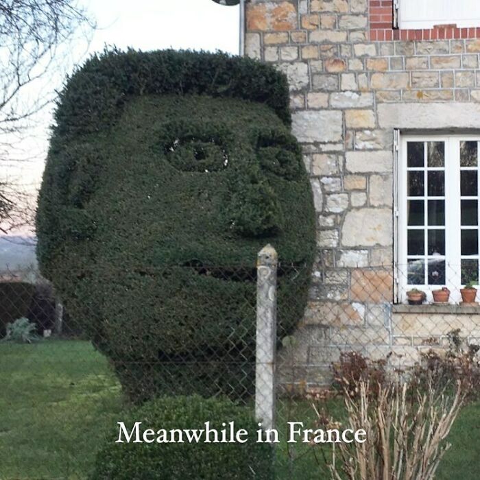 Une Soumission Française 