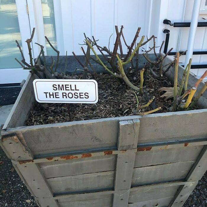 2021’s Promises Are Already Delivering