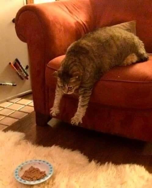 Ugh, Too Far. Guess I'll Starve