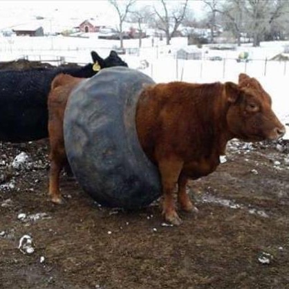 It’s My 22nd Bday Tomo. Venmo Me If You Wanna Help A Poor College Student Have A Few Drinks Tomo, If U Want. @ Bigbird47
this Is A Shameless Birthday Plug. I Don’t Care.