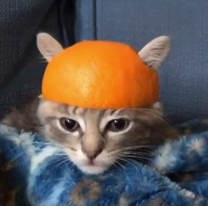 Safety Is Number One Priority