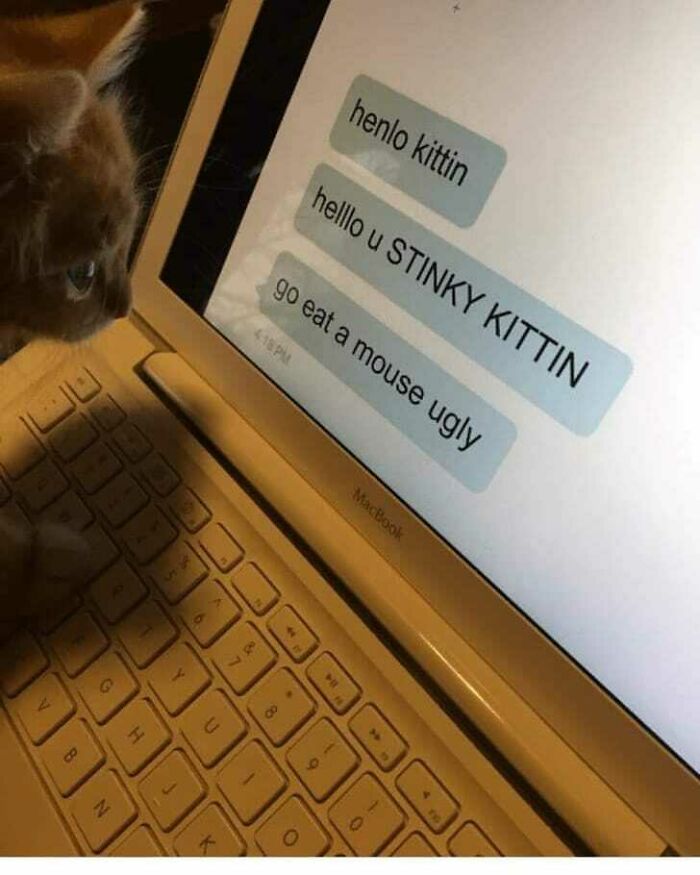 Cyberbullying Is Real