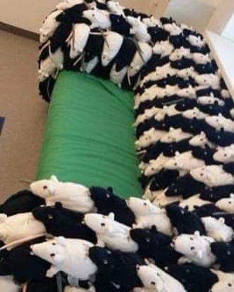 Ikeas New Straight Pride Couch Is So Beautiful 💖 Happy July 1st