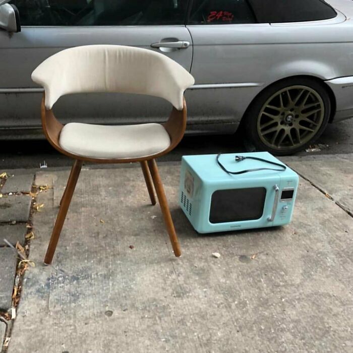 I’m Not Sure Which Is Cuter. On The Corner Of Meserole St And Manhattan Ave