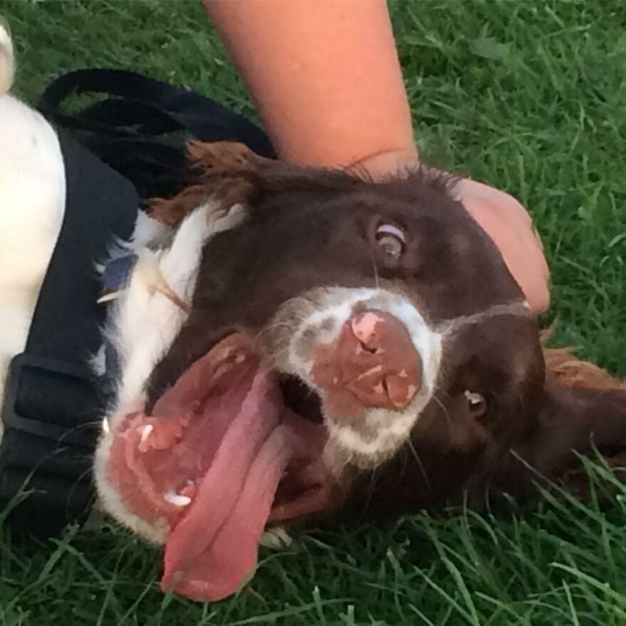 Chase - Enjoying Life :)