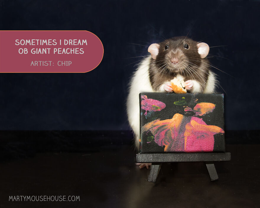 Sometimes I Dream Ob Giant Peaches, By Chip