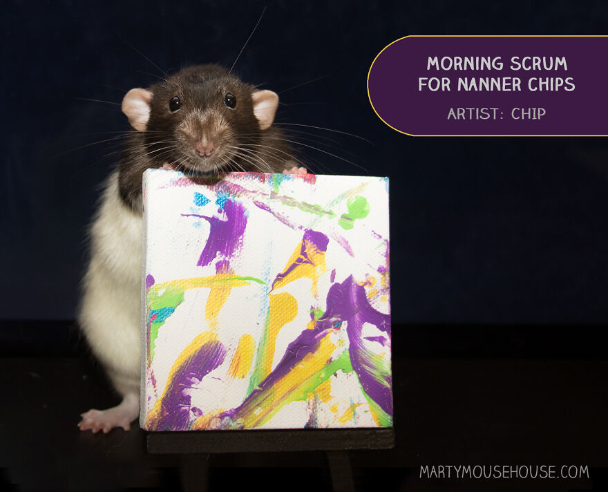 Morning Scrum For Nanner Chips, By Chip