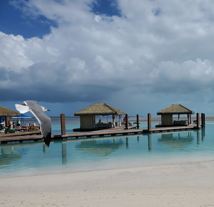 Beach Time In The Bahamas
