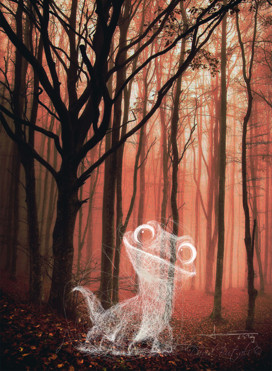 My Illustrations Of Animals And Cute Things In The Forest