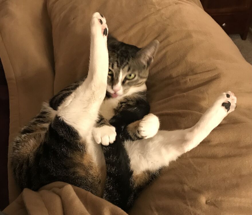 Silly Face, Silly Position…that’s My Little Weirdo.