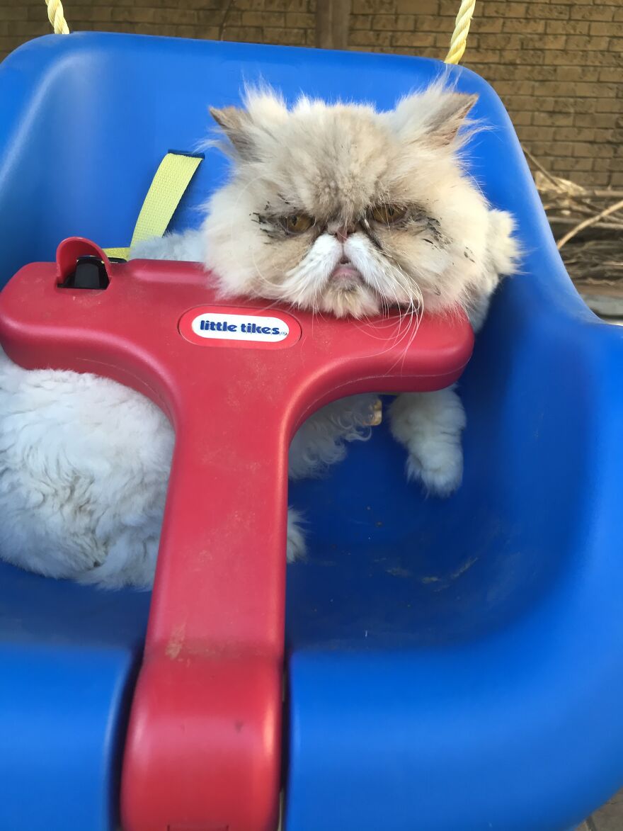 She Loves The Swing. She Just Doesn’t Show It On Her Face