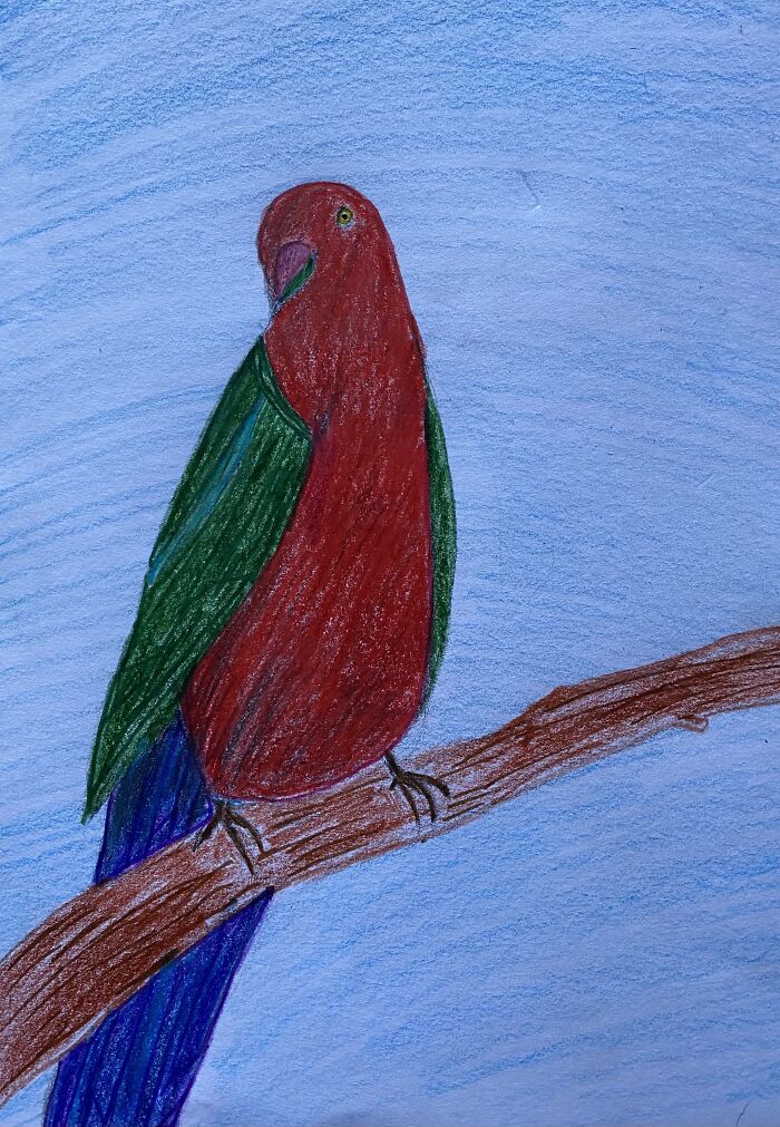King Parrot!