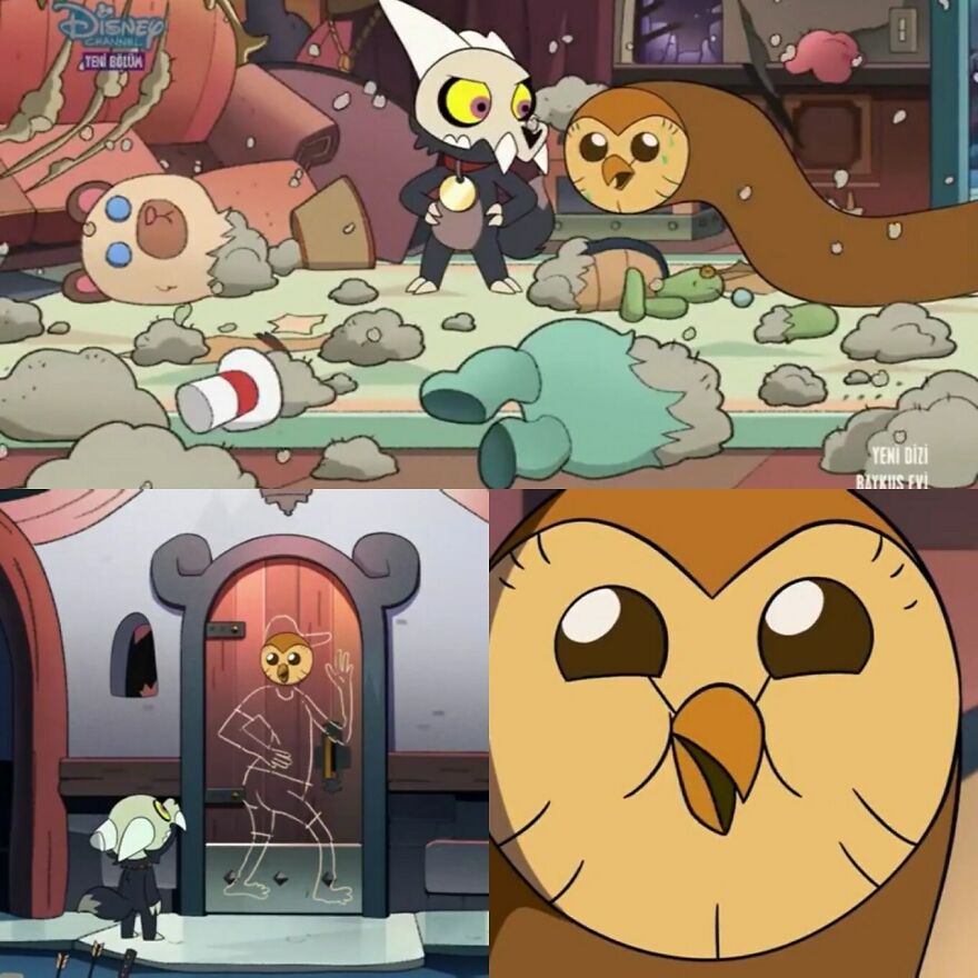 Best Hooty Memes/Things