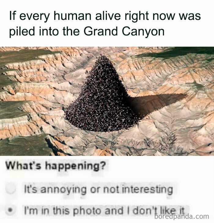 Maybe The Officer Will Be So Confused He’ll Let Me Go