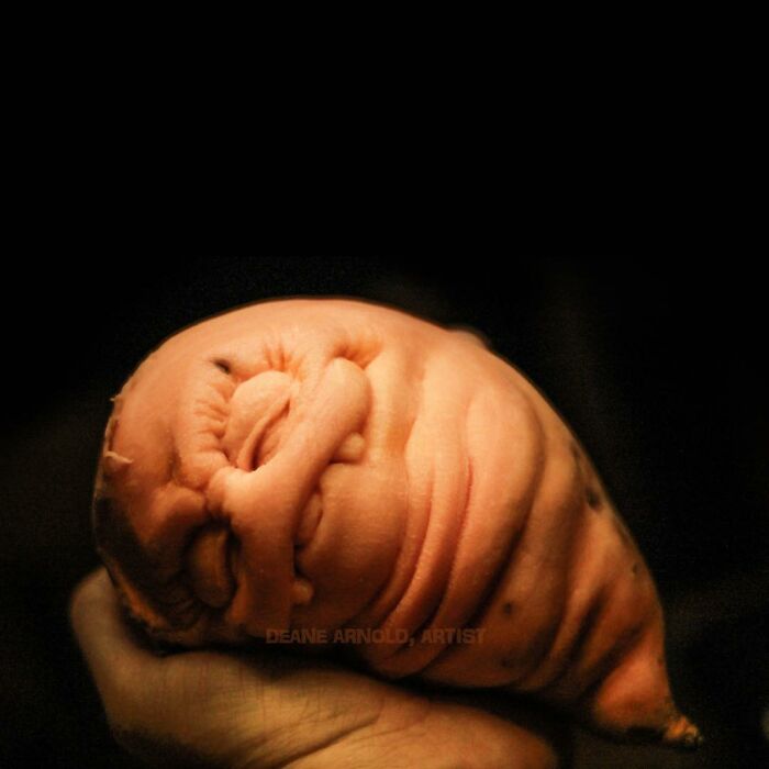 Deane Arnold Brings Pumpkins To Life!