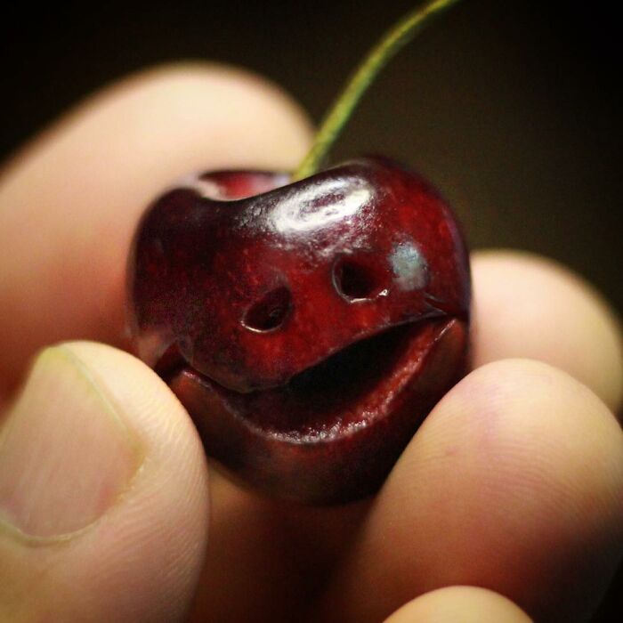 Deane Arnold Brings Pumpkins To Life!