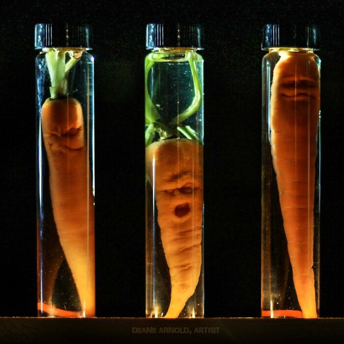 Deane Arnold Brings Pumpkins To Life!