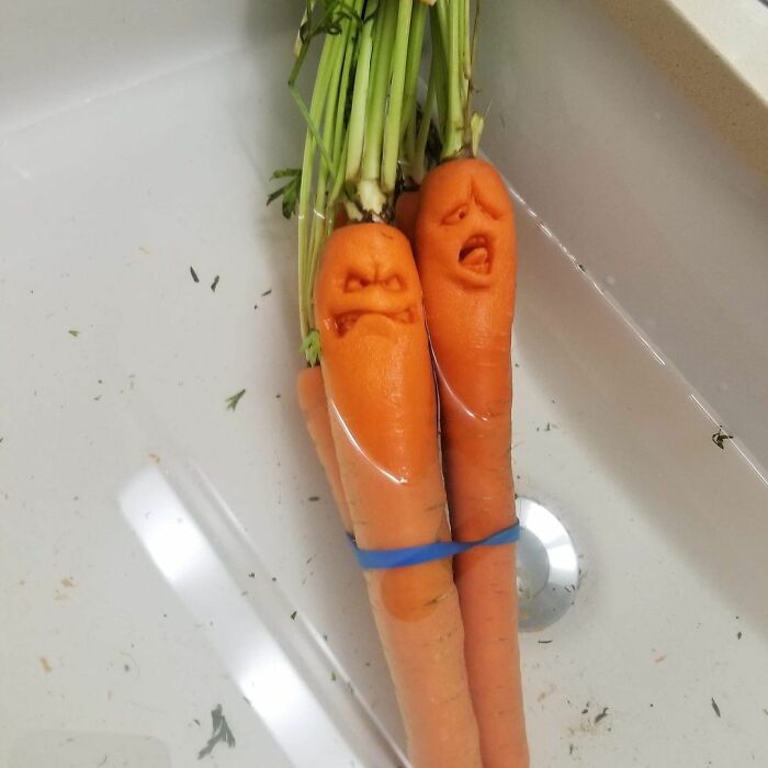 Deane Arnold Brings Pumpkins To Life!