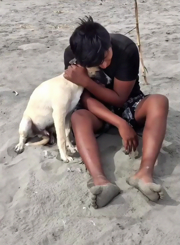 Dog With Separation Anxiety Patiently Waits For His Owner All Day, Often Until Nightfall Dog With Separation Anxiety Patiently Waits For His Owner All Day, Often Until Nightfall