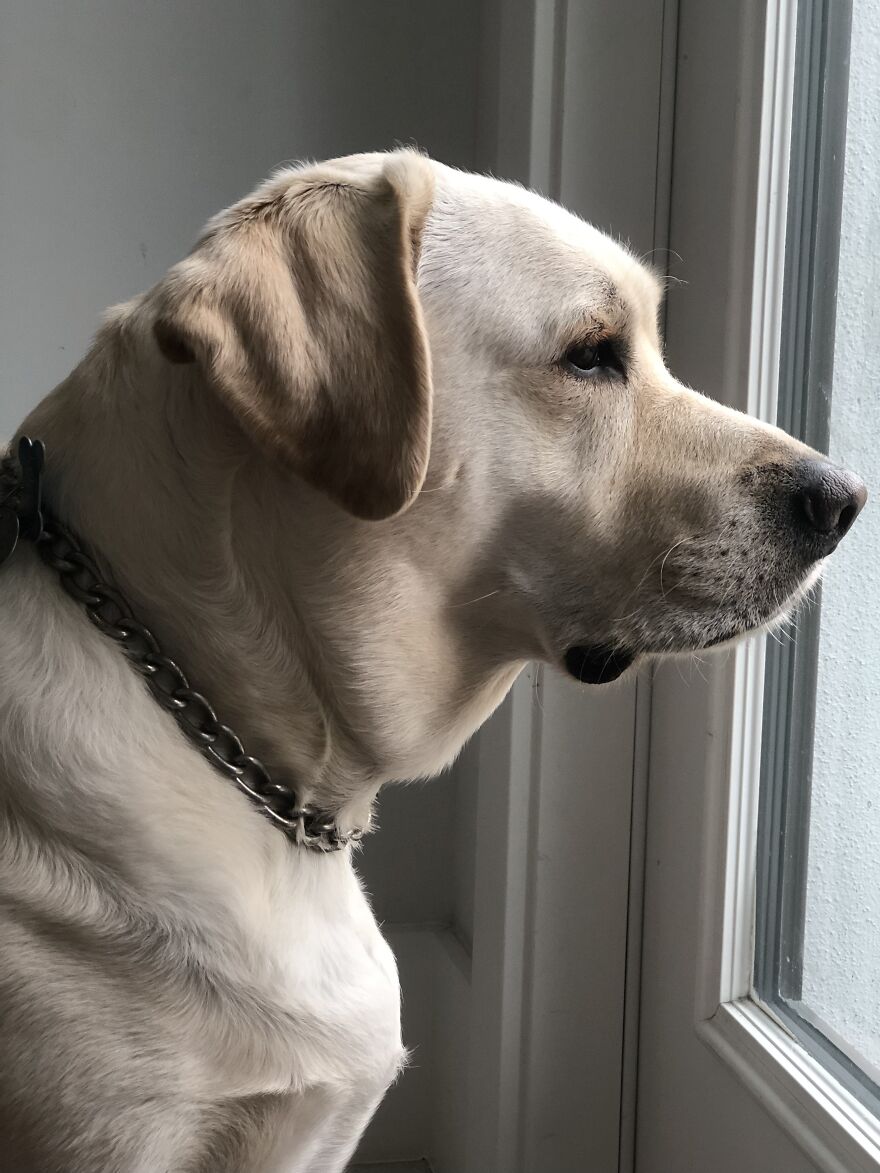 Someone Left And He Was Waiting