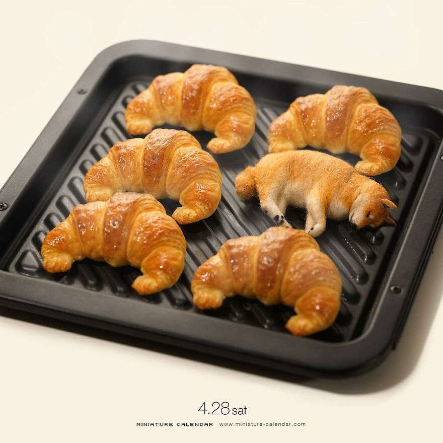 Every Day, This Artist Creates And Photographs Miniature Worlds (New Pics)