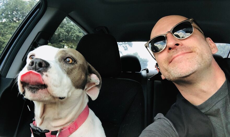 Lady Victoria Hates Traffic.