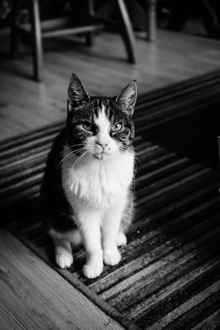 My Fonkeltje! (Means "Little Sparkle")