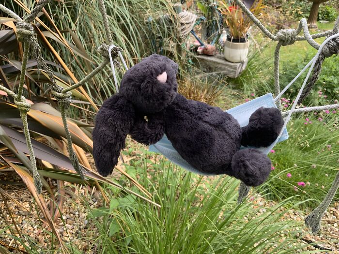 Tiny Hammock For Plushies! 😂