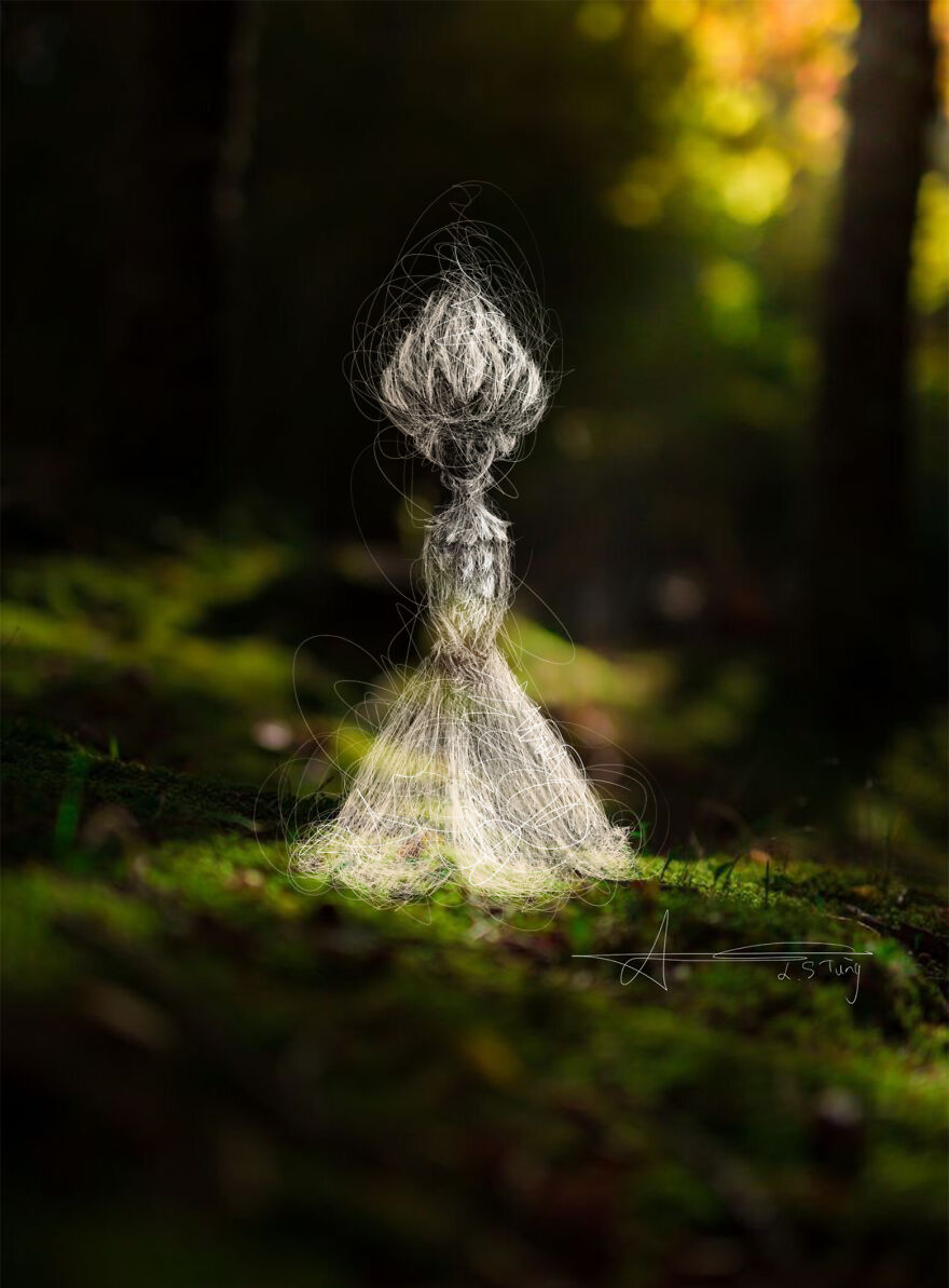 My Illustrations Of Animals And Cute Things In The Forest