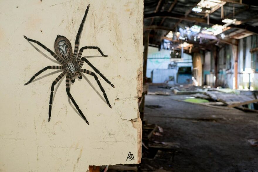 Spider, By JPS