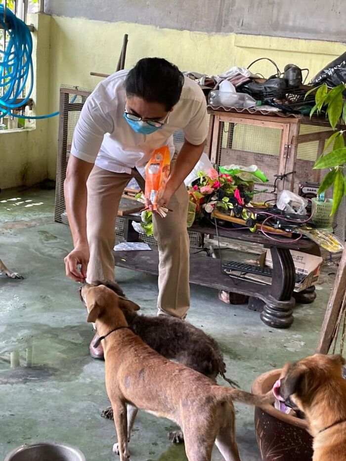 This Family Of Five Got Saved By A Dog Who Woke Them Up During A Fire This Family Of Five Got Saved By A Dog Who Woke Them Up During A Fire