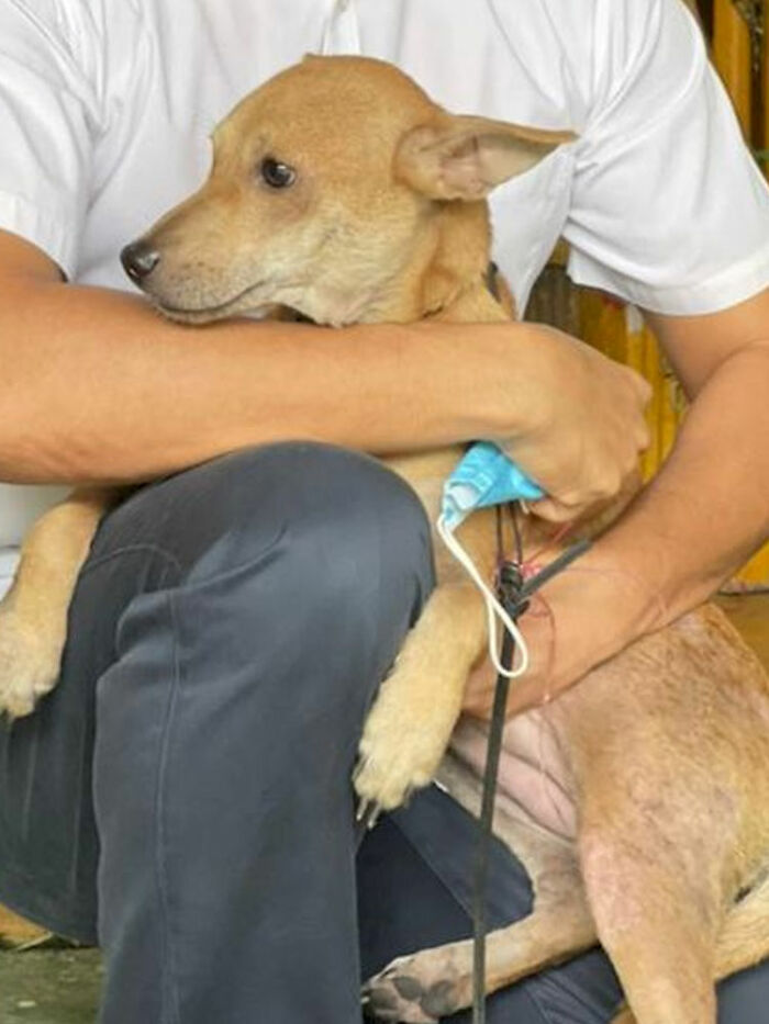 This Family Of Five Got Saved By A Dog Who Woke Them Up During A Fire