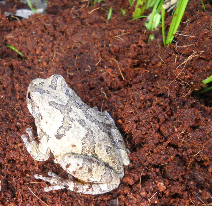 More Like A Winter Guest