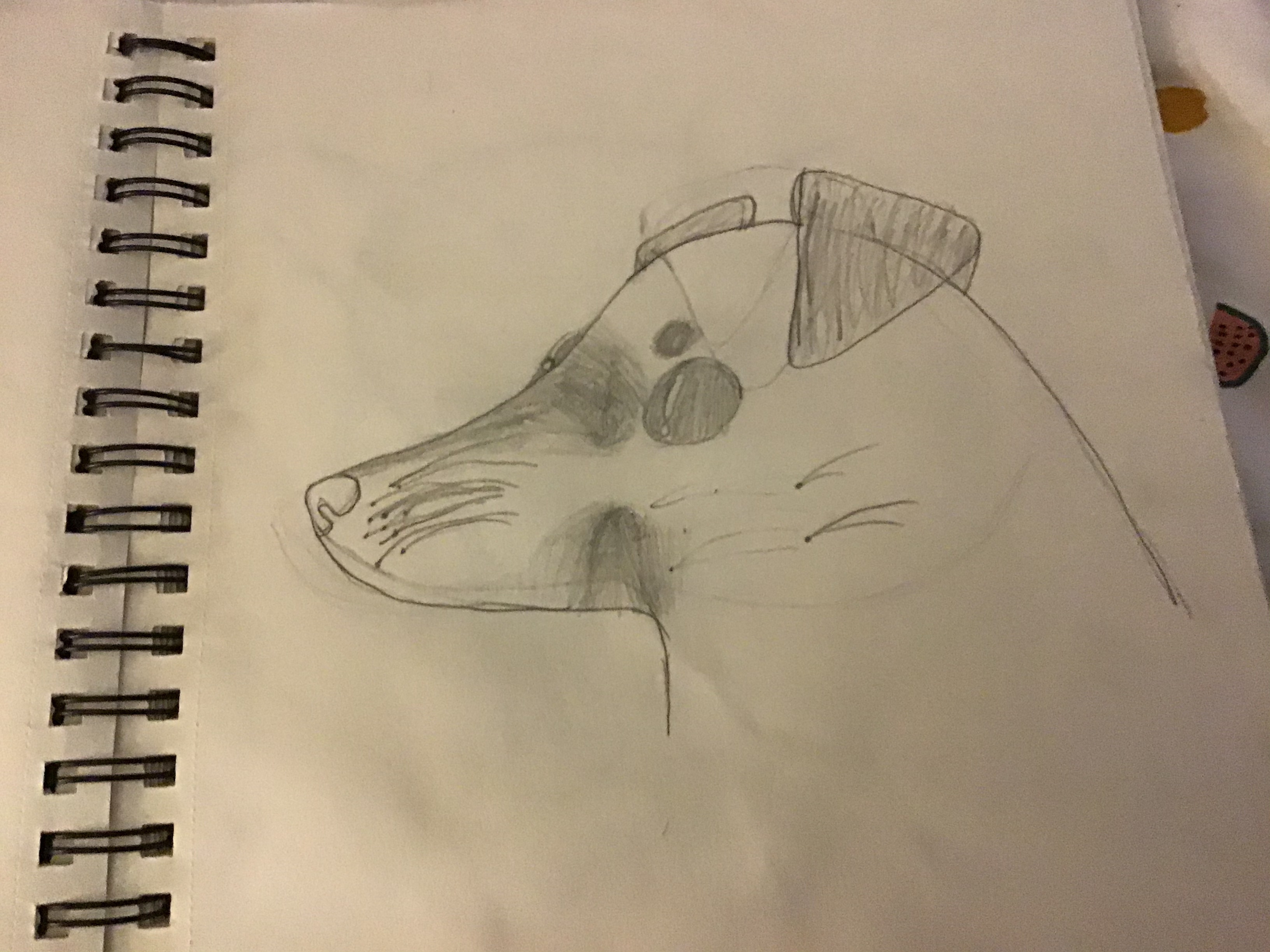 Hey Artistic Pandas, Share One Of Your Favorite Drawings