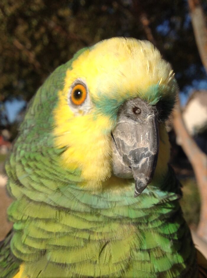 Buddy Foley Was My Roommate For More Than 20 Years