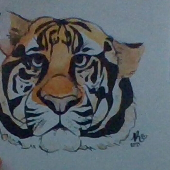 Sorry About The Image Quality ;w;