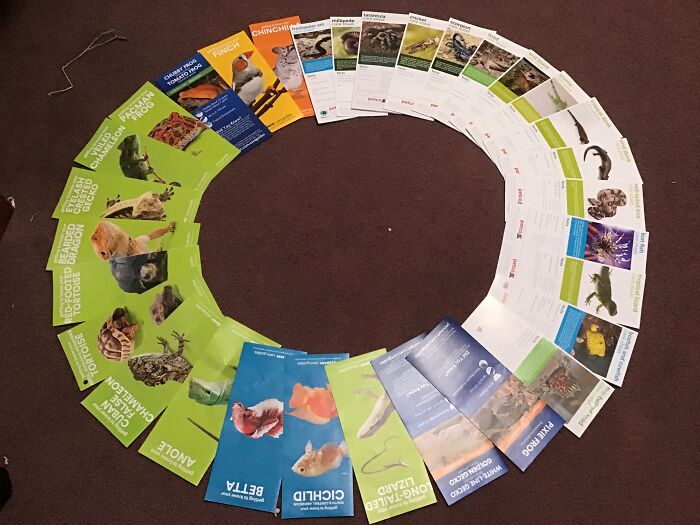 Animal Care Guides From Pet Stores