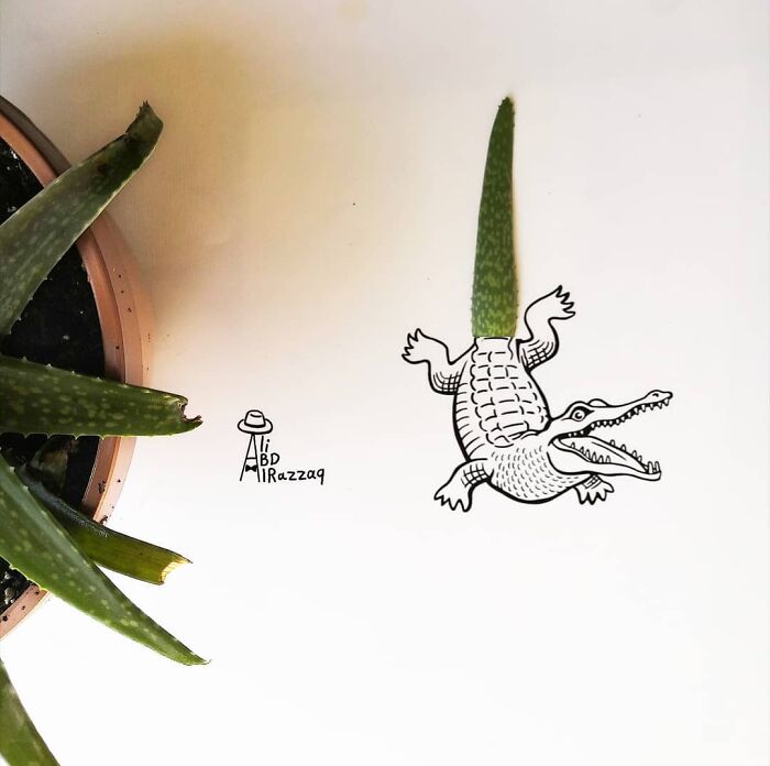Interactive illustration of a crocodile using an aloe leaf as its tail, combining art with everyday items creatively.
